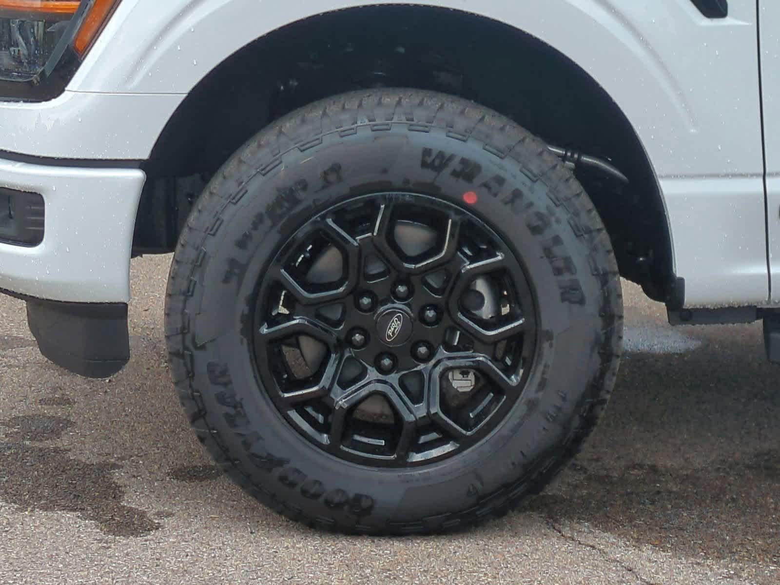 2025 Ford F-150 XLT 14