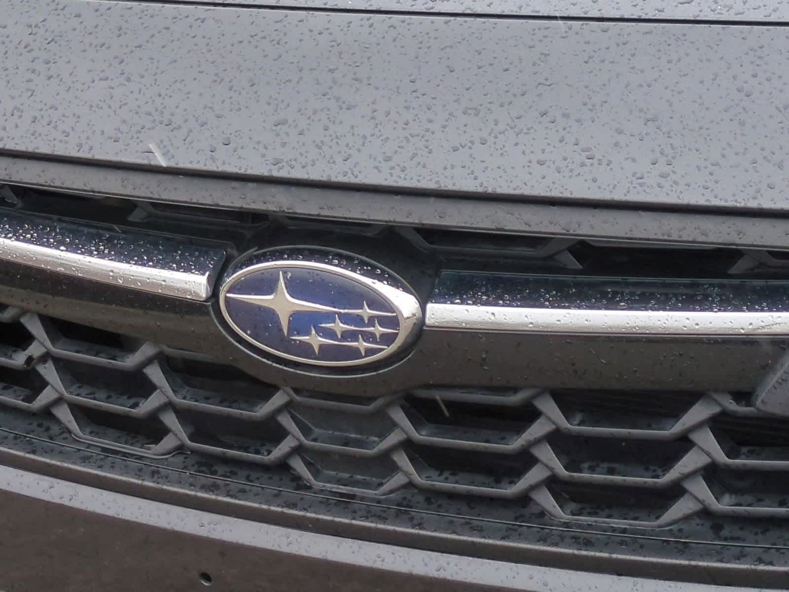 Thumbnail: 2019 Subaru Crosstrek - 12