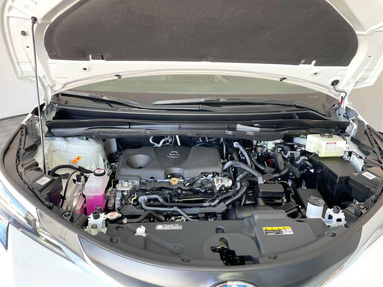 2025 Toyota Sienna XLE 28