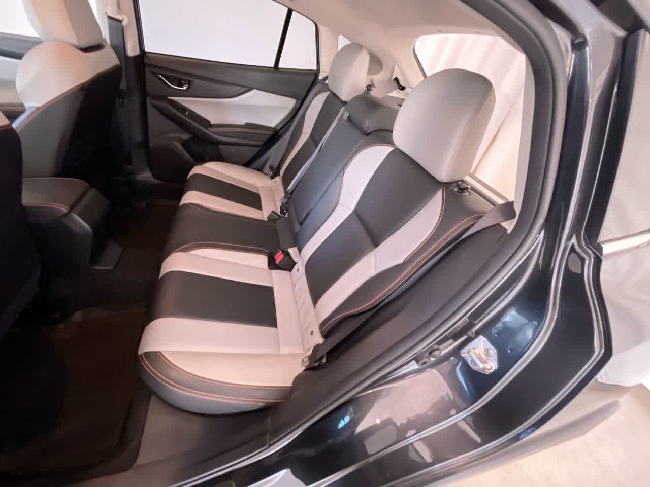 Thumbnail: 2019 Subaru Crosstrek - 21
