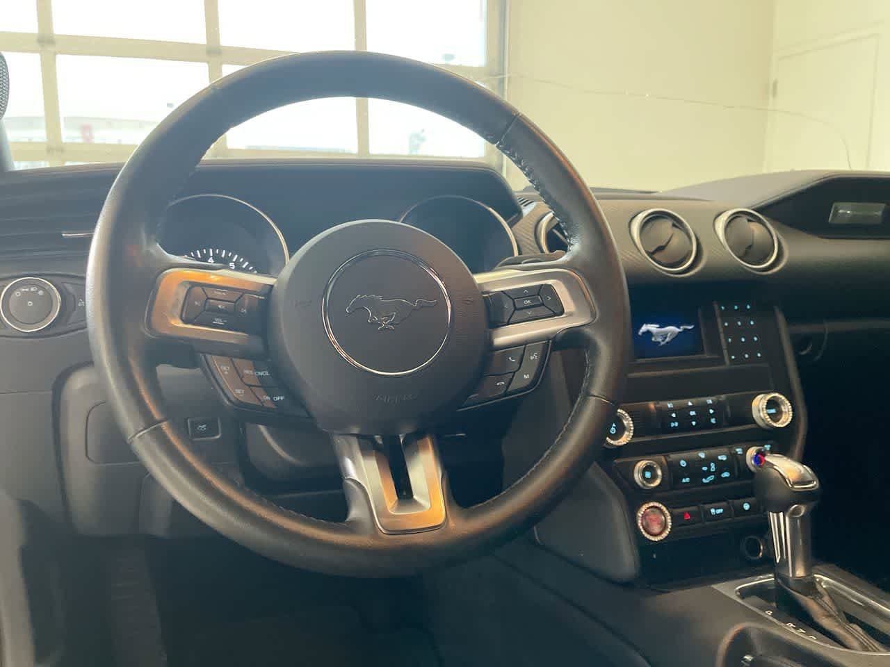 Thumbnail: 2019 Ford Mustang - 14