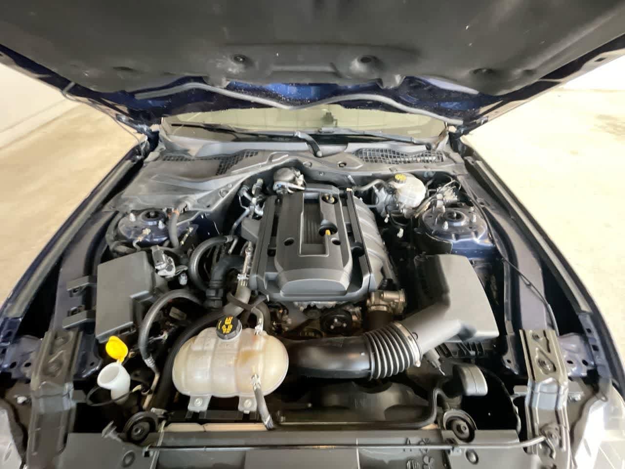 Thumbnail: 2019 Ford Mustang - 24