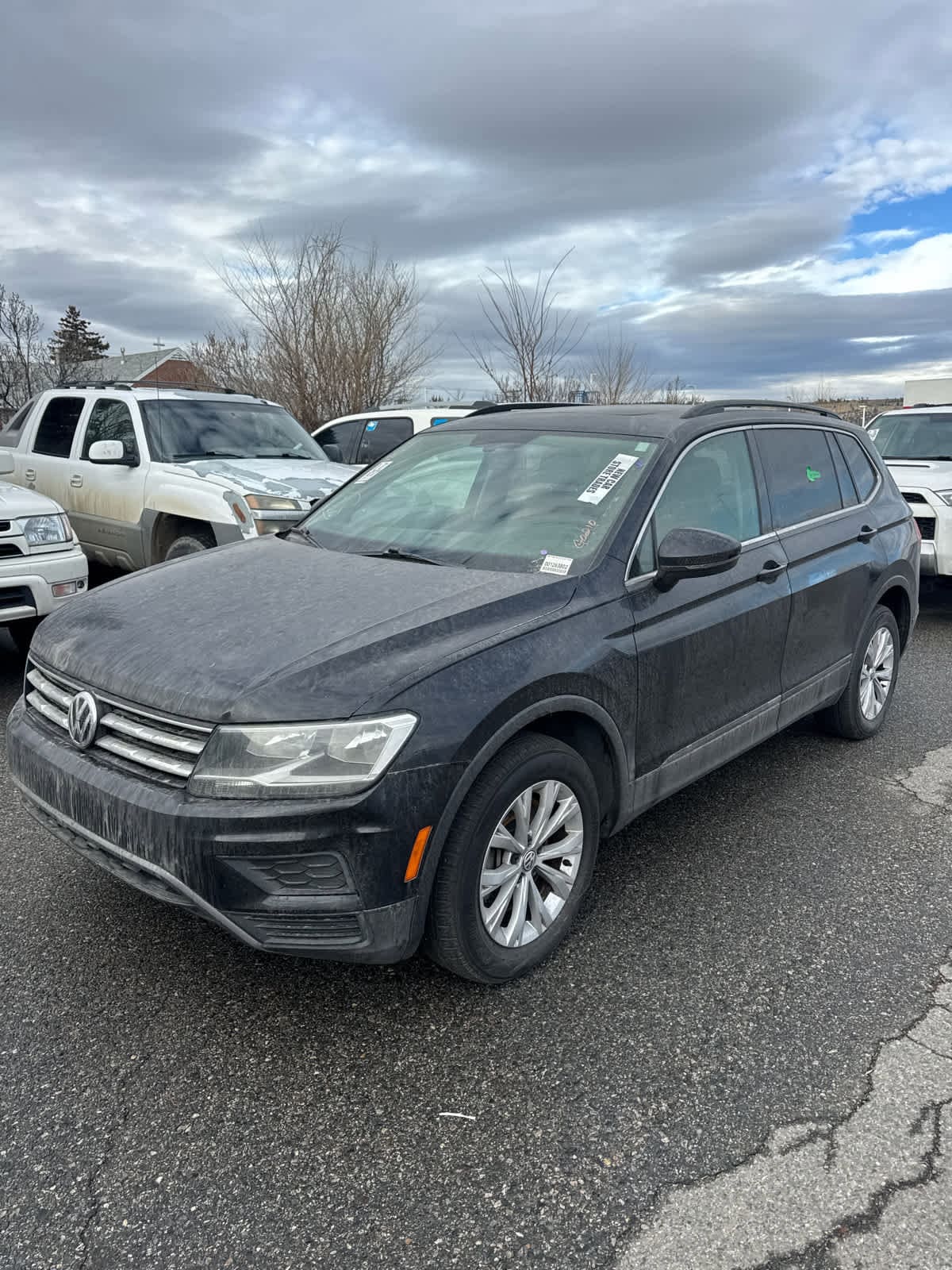 2019 Volkswagen Tiguan SE's photo