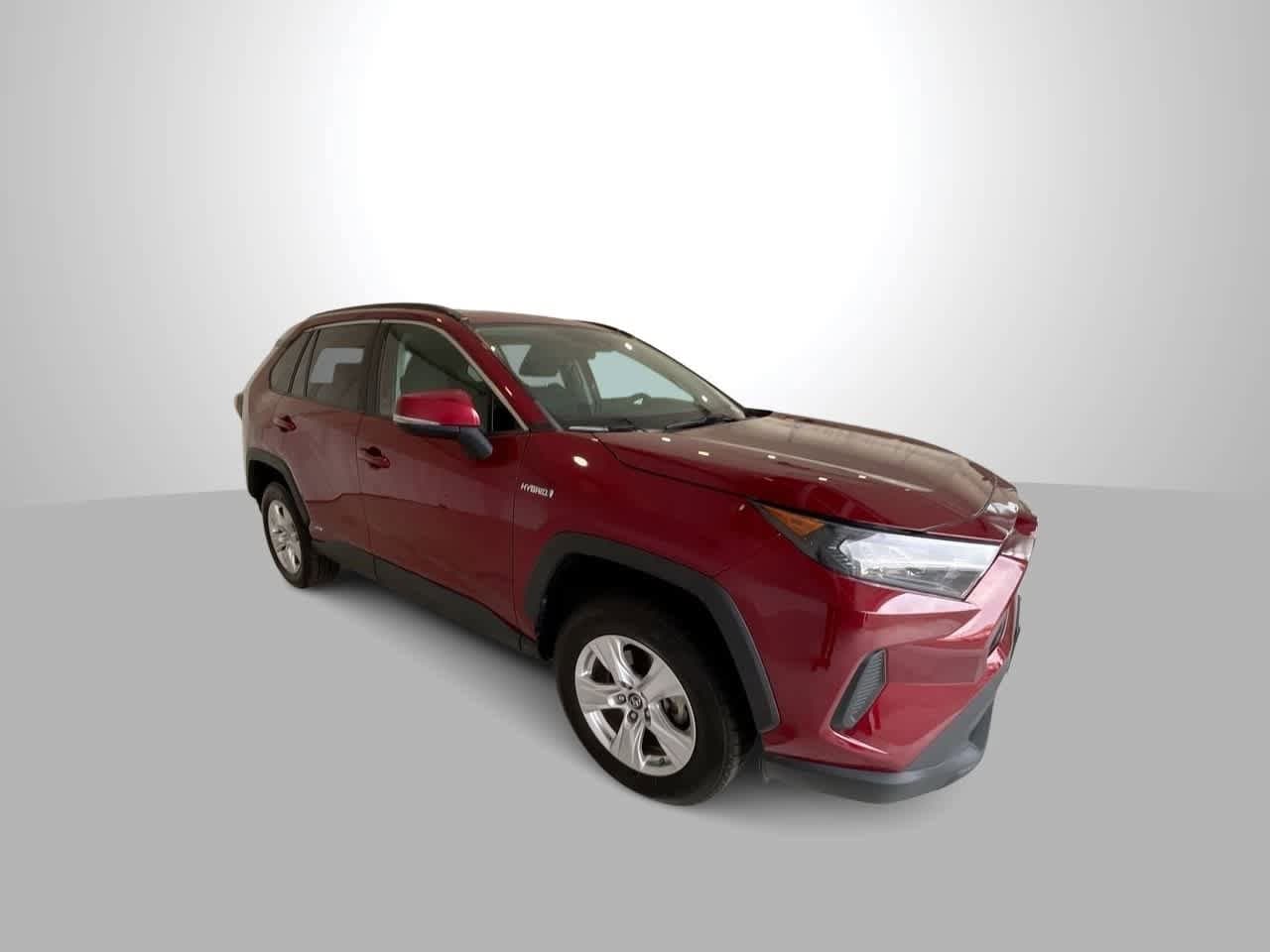 Used 2019 Toyota RAV4 LE with VIN 2T3MWRFV6KW040783 for sale in Billings, MT