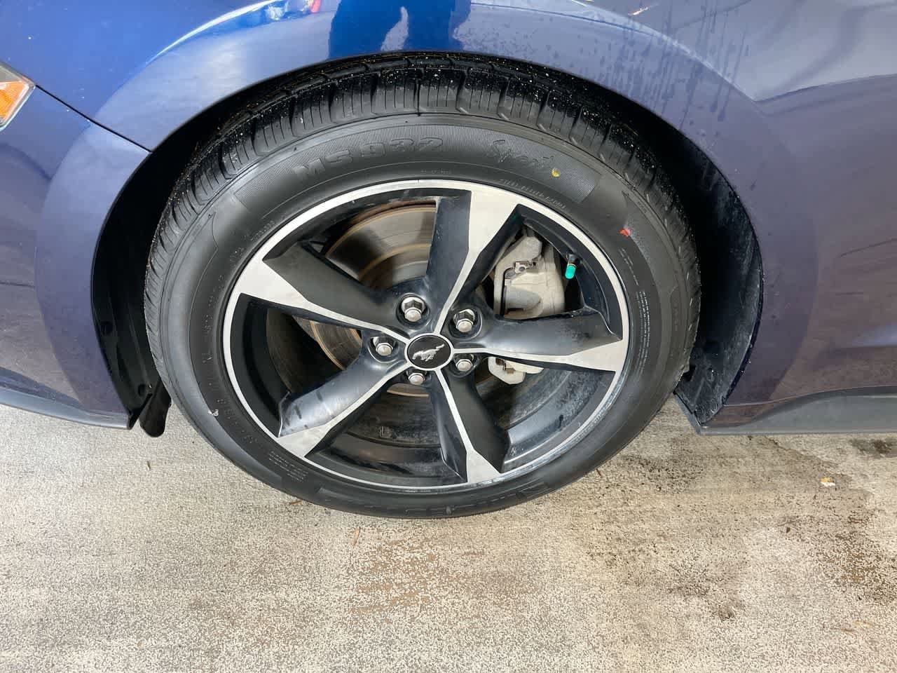 Thumbnail: 2019 Ford Mustang - 10