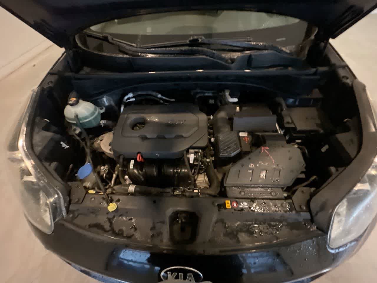 Thumbnail: 2017 Kia Sportage - 24