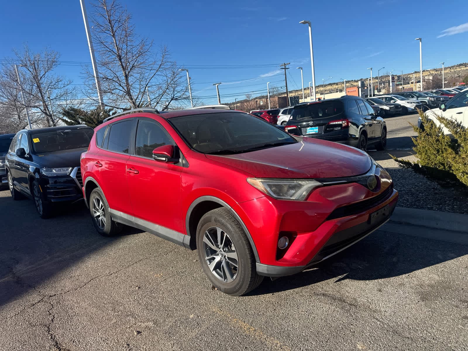 2017 Toyota RAV4 XLE's photo
