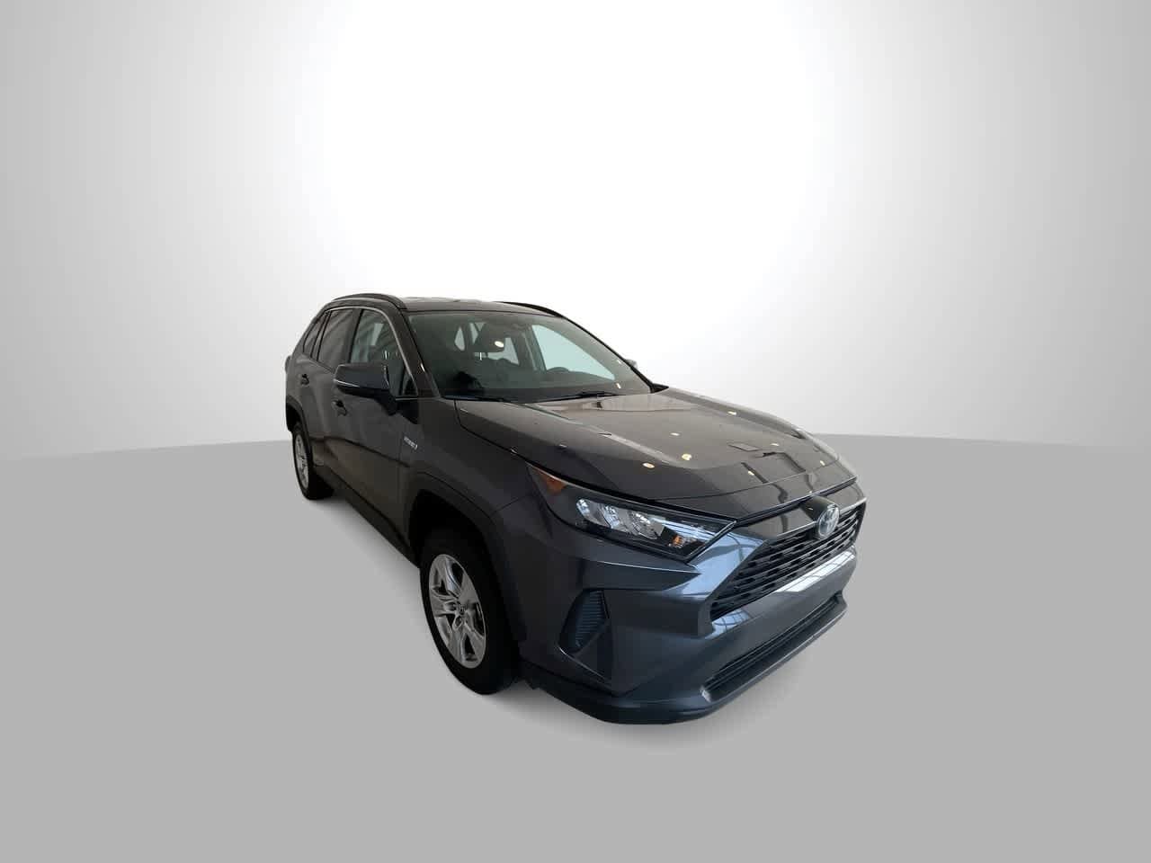 Certified 2019 Toyota RAV4 LE with VIN 2T3MWRFVXKW026014 for sale in Billings, MT