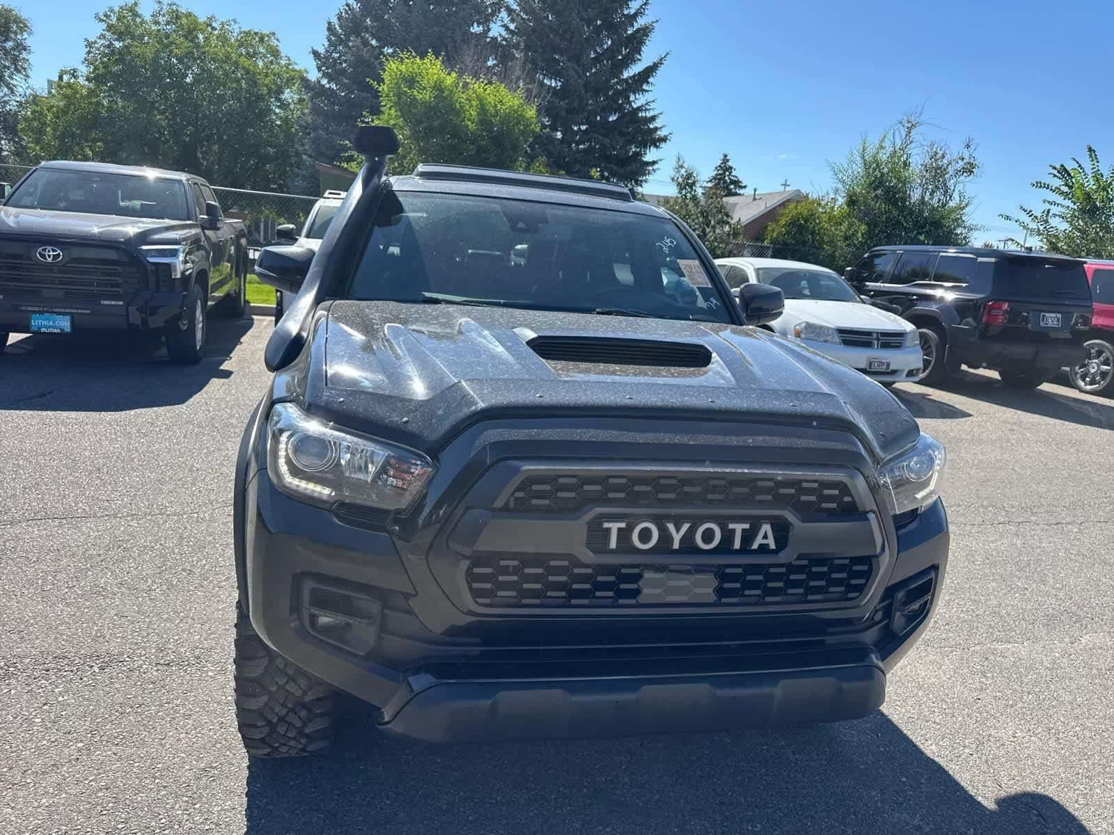 Thumbnail: 2019 Toyota Tacoma - 5