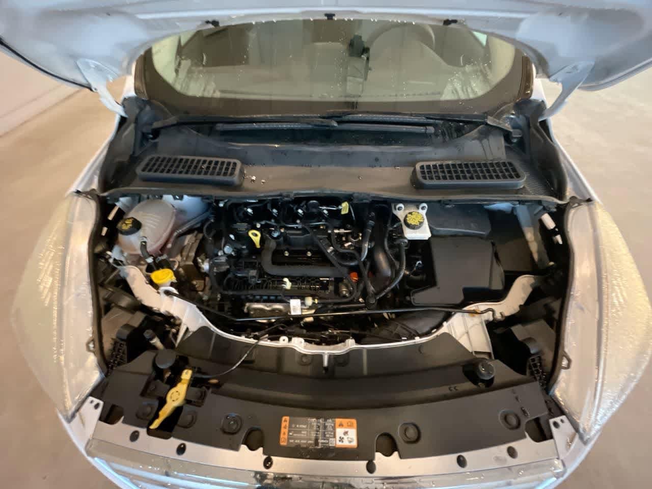 Thumbnail: 2019 Ford Escape - 24