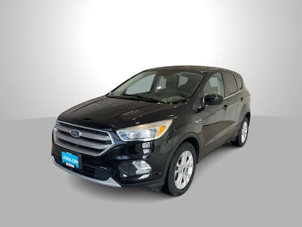 2017 Ford Escape SE Sport Utility