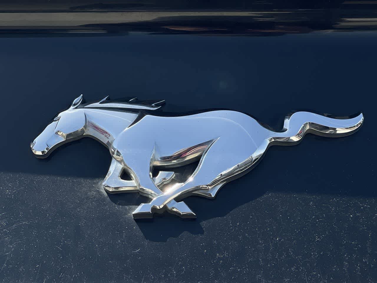 Thumbnail: 2017 Ford Mustang - 9