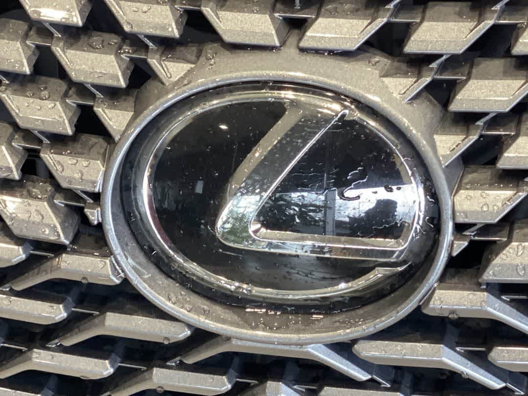 Thumbnail: 2020 Lexus RX - 10
