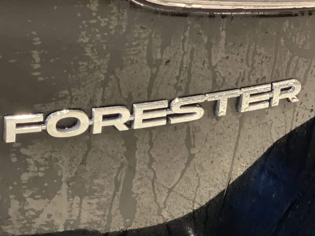 Thumbnail: 2019 Subaru Forester - 12