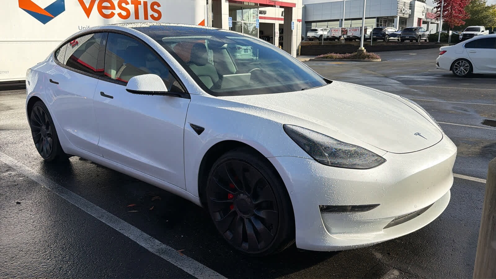 2021 Tesla Model 3 Performance photo 2