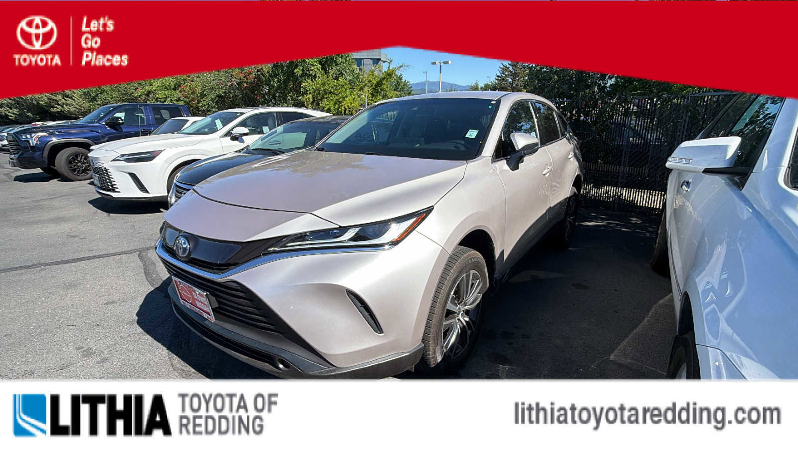 2024 Toyota Venza LE Hybrid AWD's photo