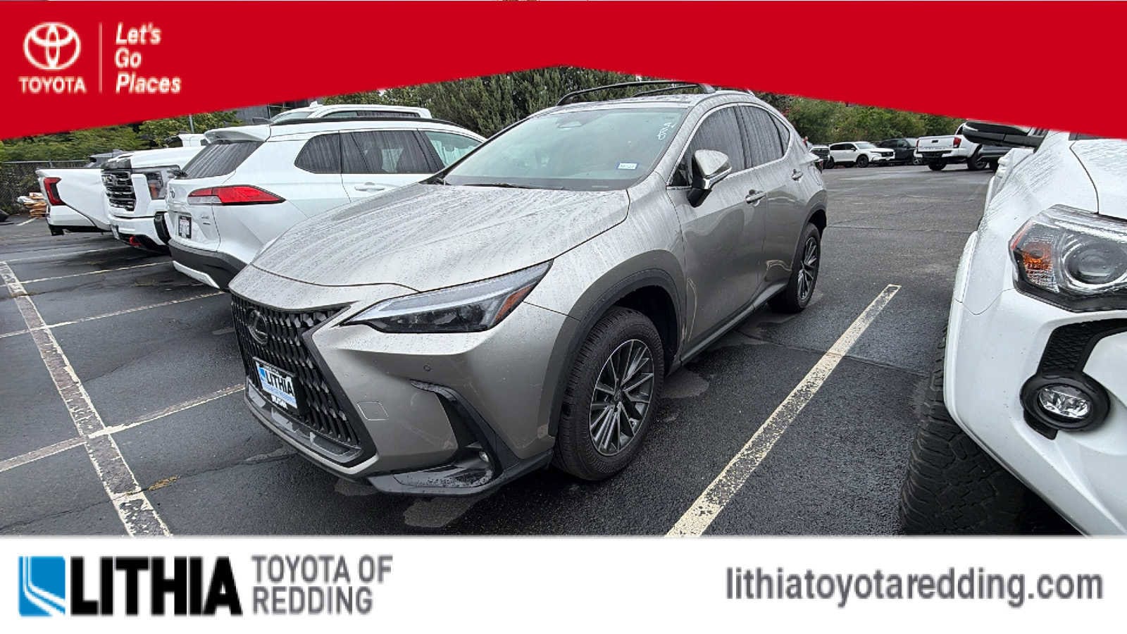 2026 Lexus NX 350h 350h AWD's photo