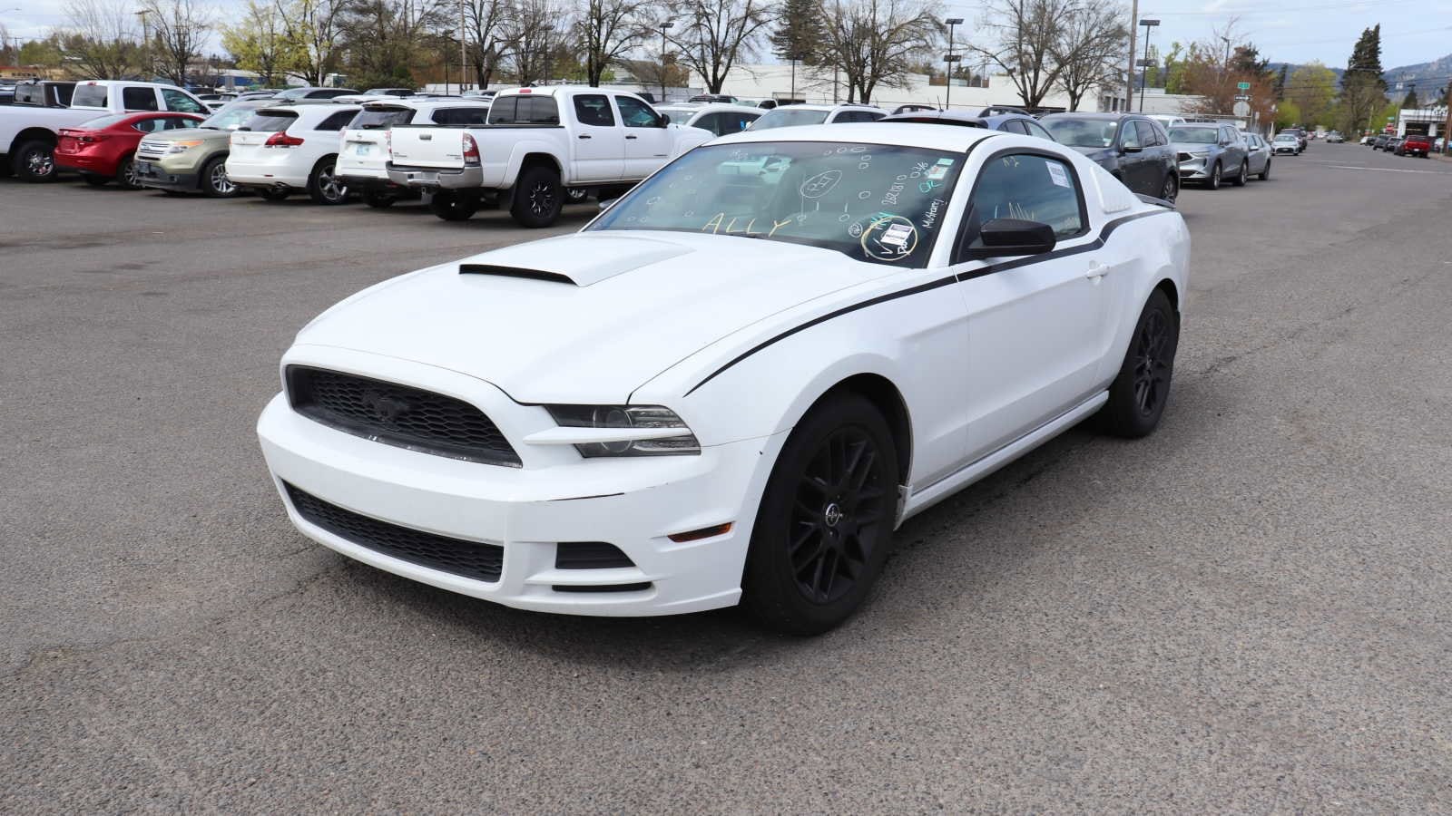 2014 Ford Mustang  -
                Springfield, OR