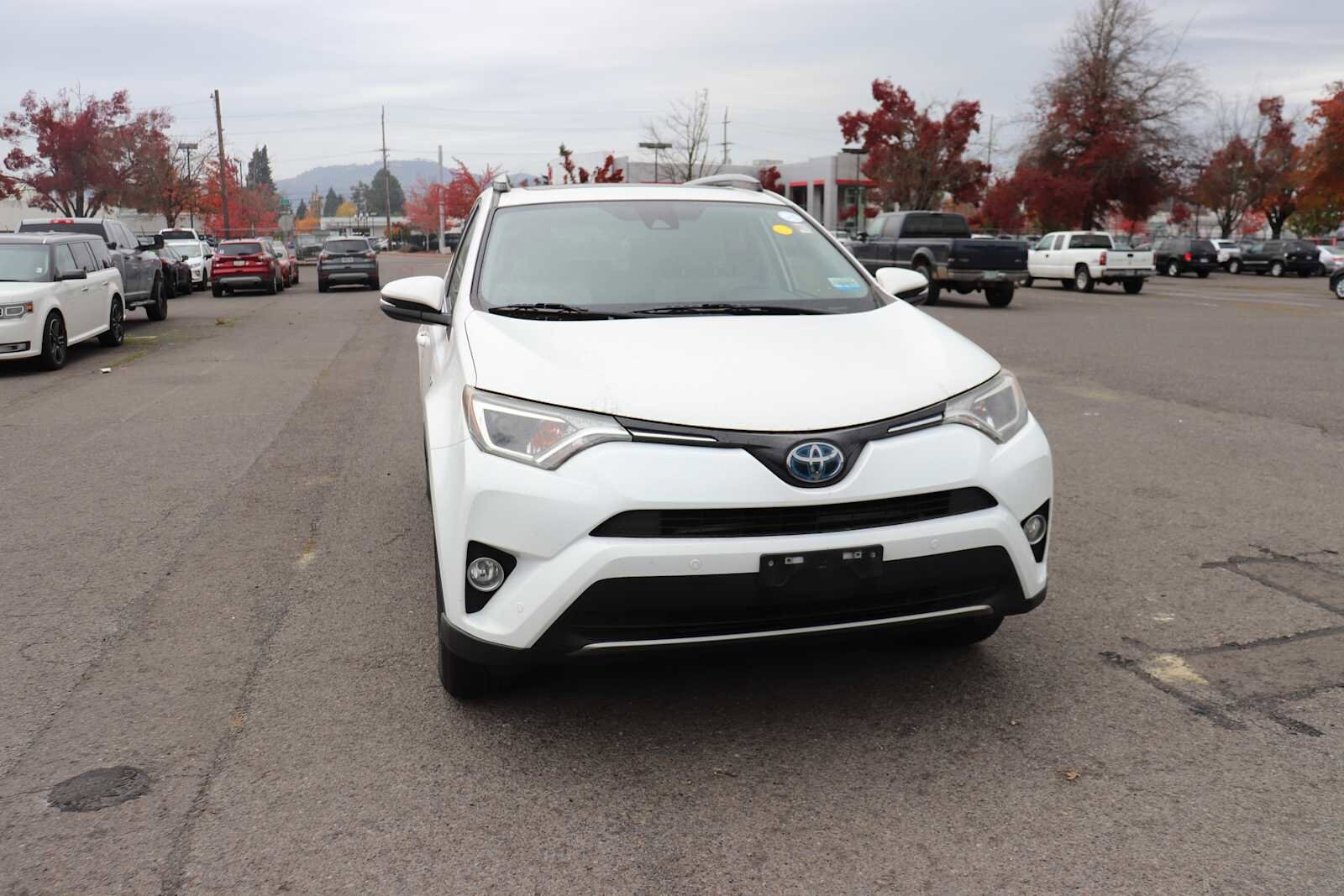 2018 Toyota RAV4 Hybrid XLE photo 3