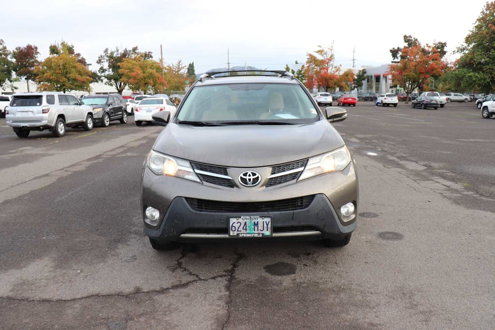 2015 Toyota RAV4 XLE photo 2