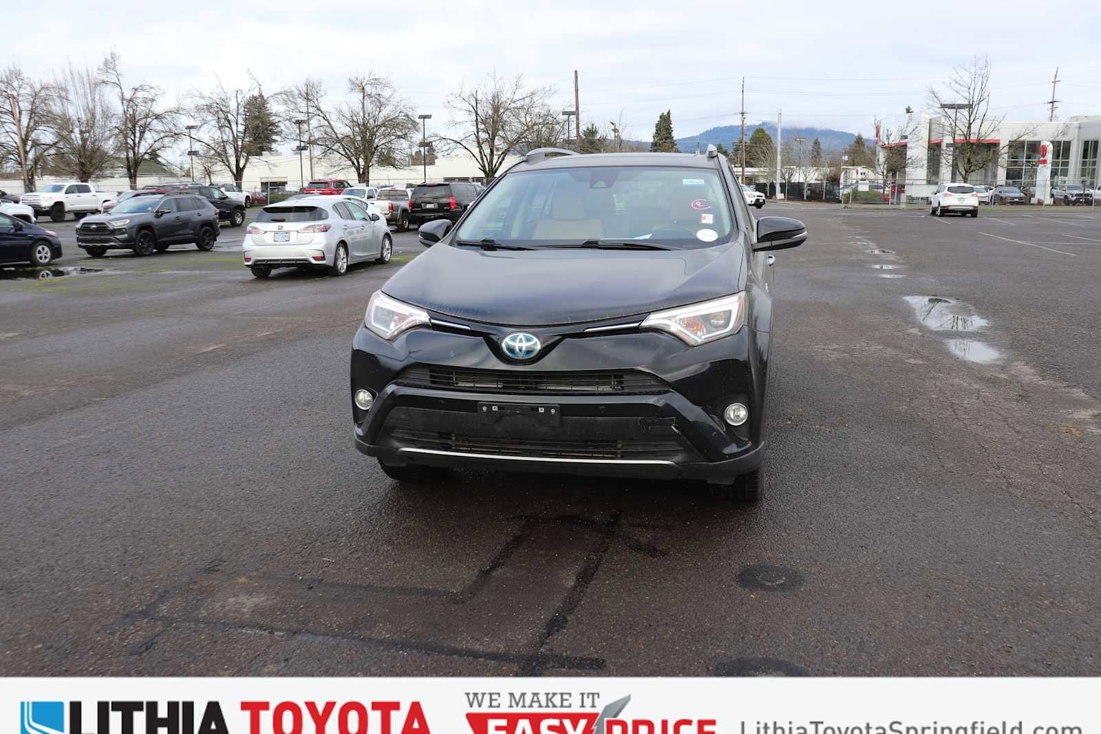 2017 Toyota RAV4 Limited's photo