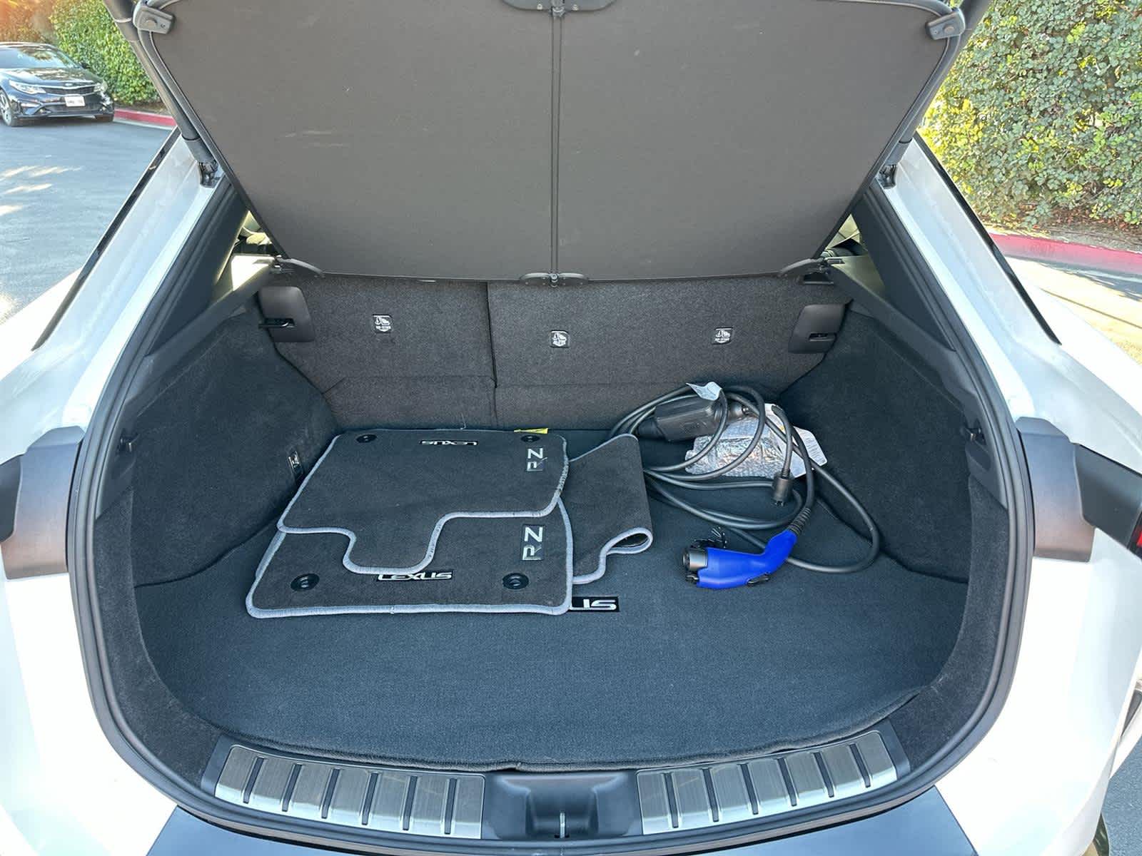 Thumbnail: 2023 Lexus RZ - 20