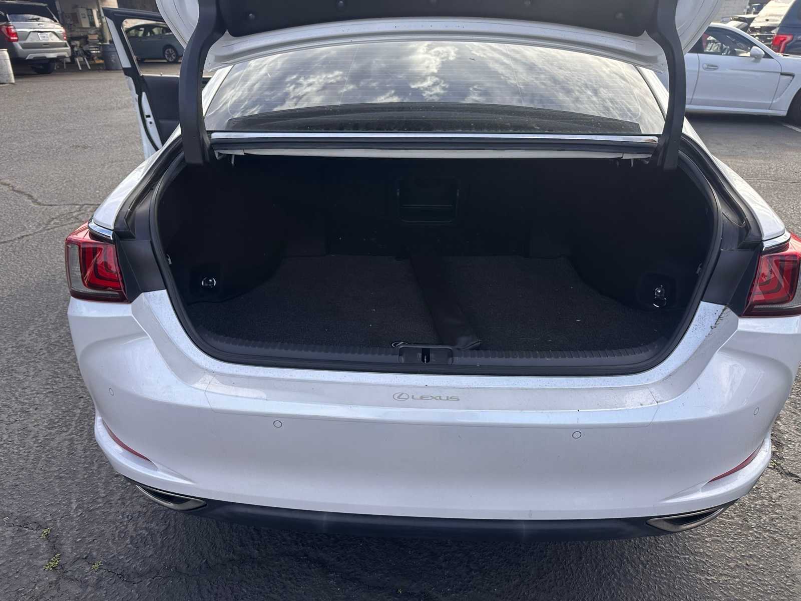 Thumbnail: 2019 Lexus ES - 10