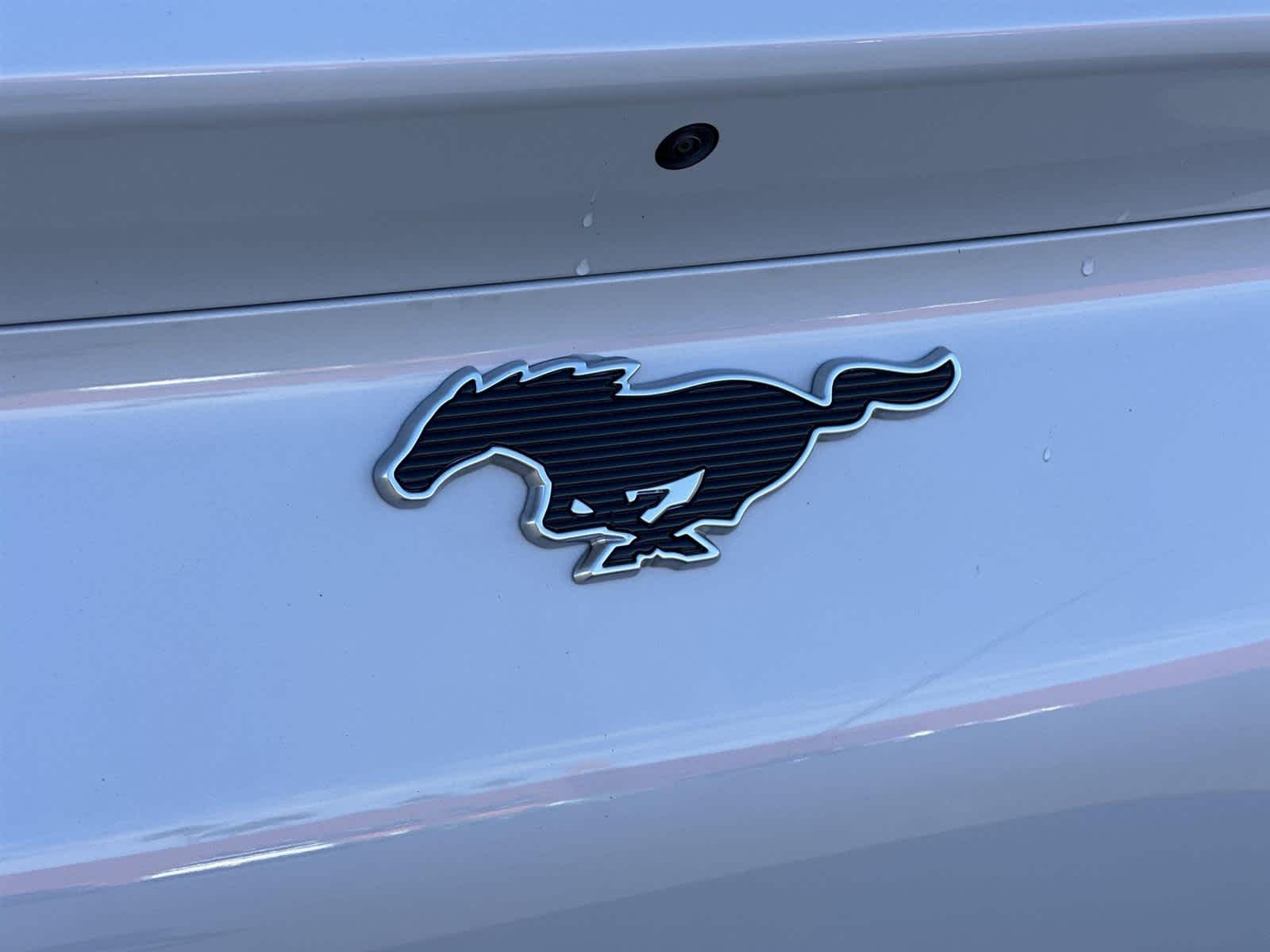 Thumbnail: 2022 Ford Mustang Mach-E - 7