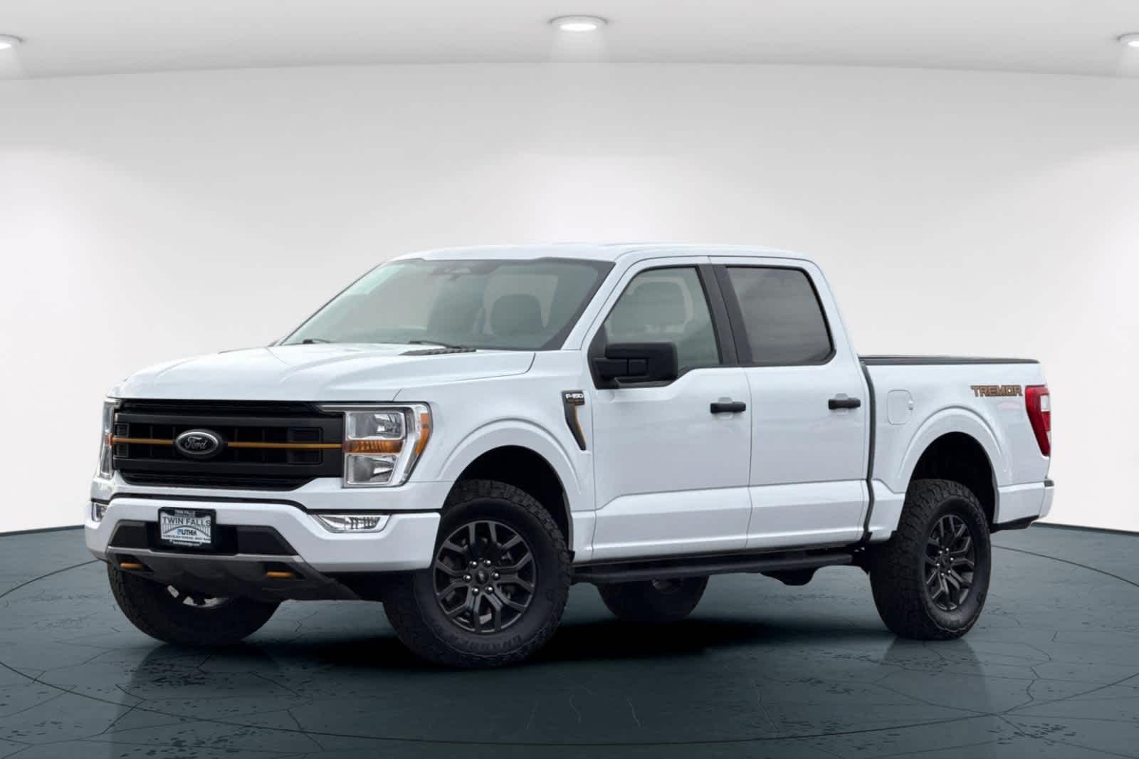 2022 Ford F-150 Tremor's photo