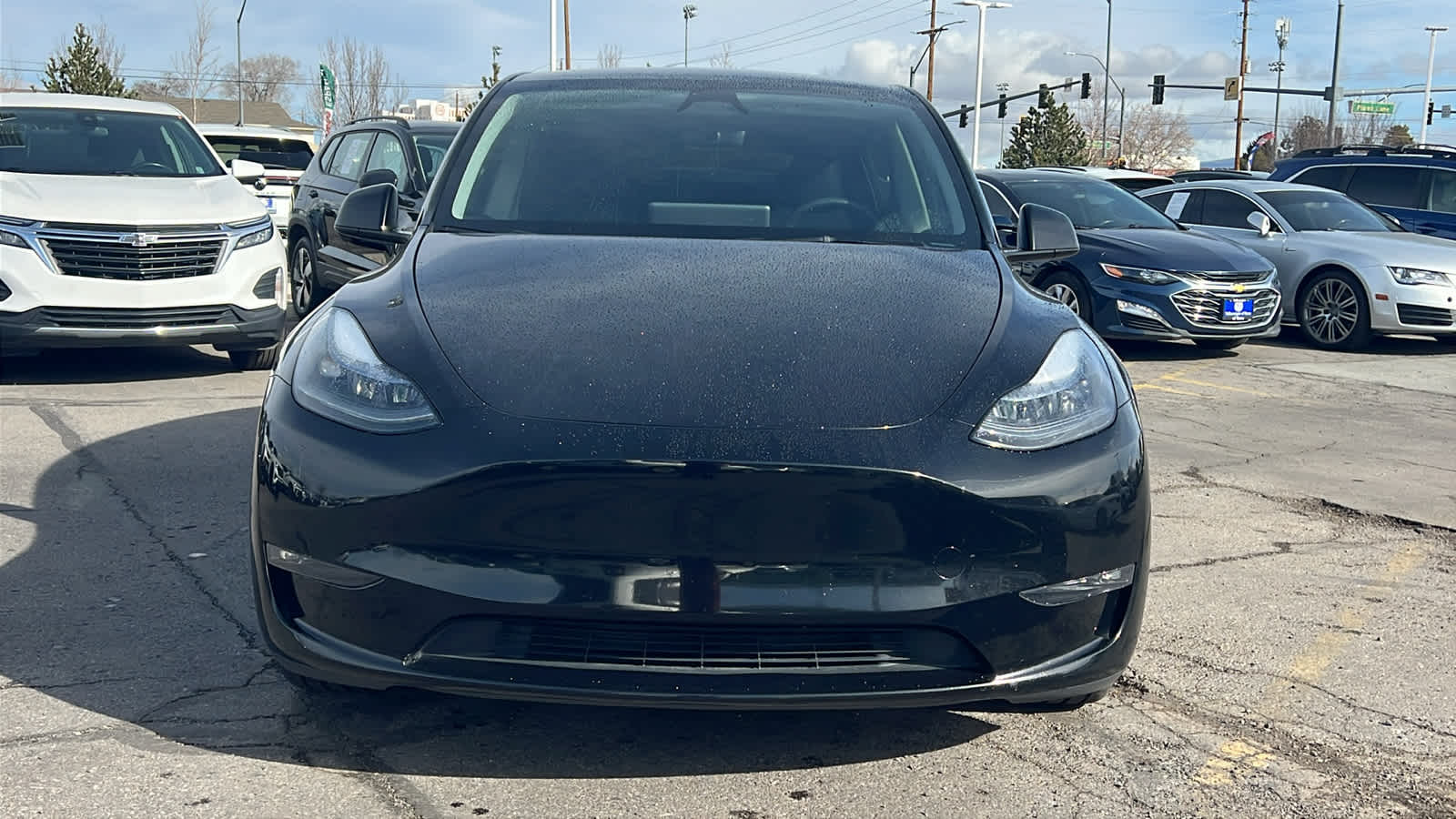 Used 2024 Tesla Model Y Performance with VIN 7SAYGDEF2RF161485 for sale in Northfield, Minnesota