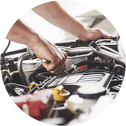 1 Year of Complimentary maintenance