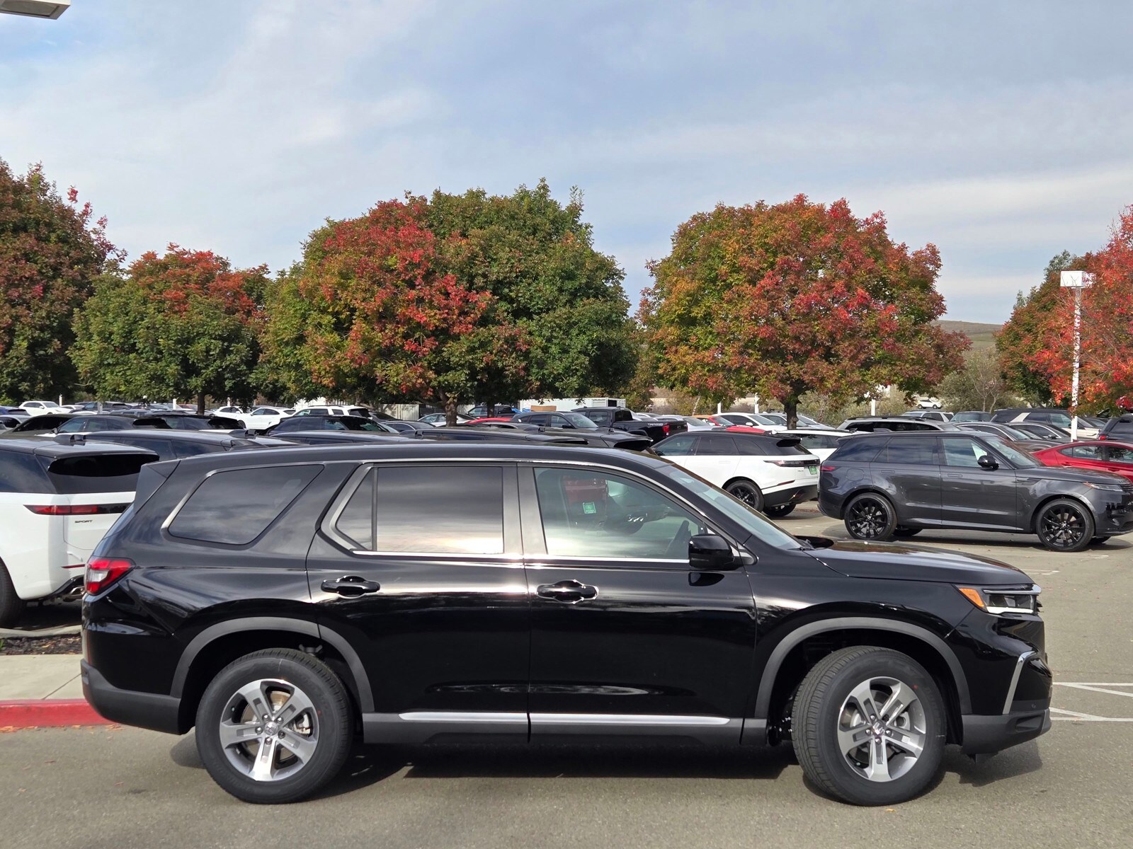 2025 Honda Pilot EX-L photo 3