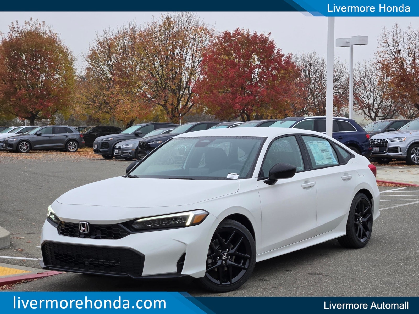 2026 Honda Civic Sport's photo