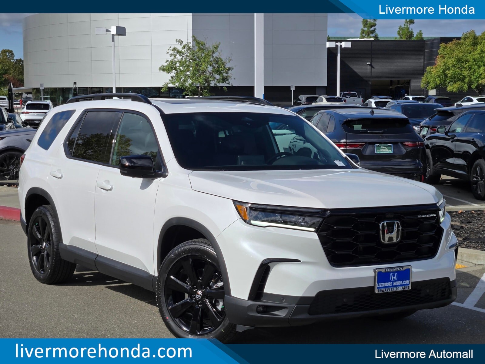 2025 Honda Pilot Black Edition's photo