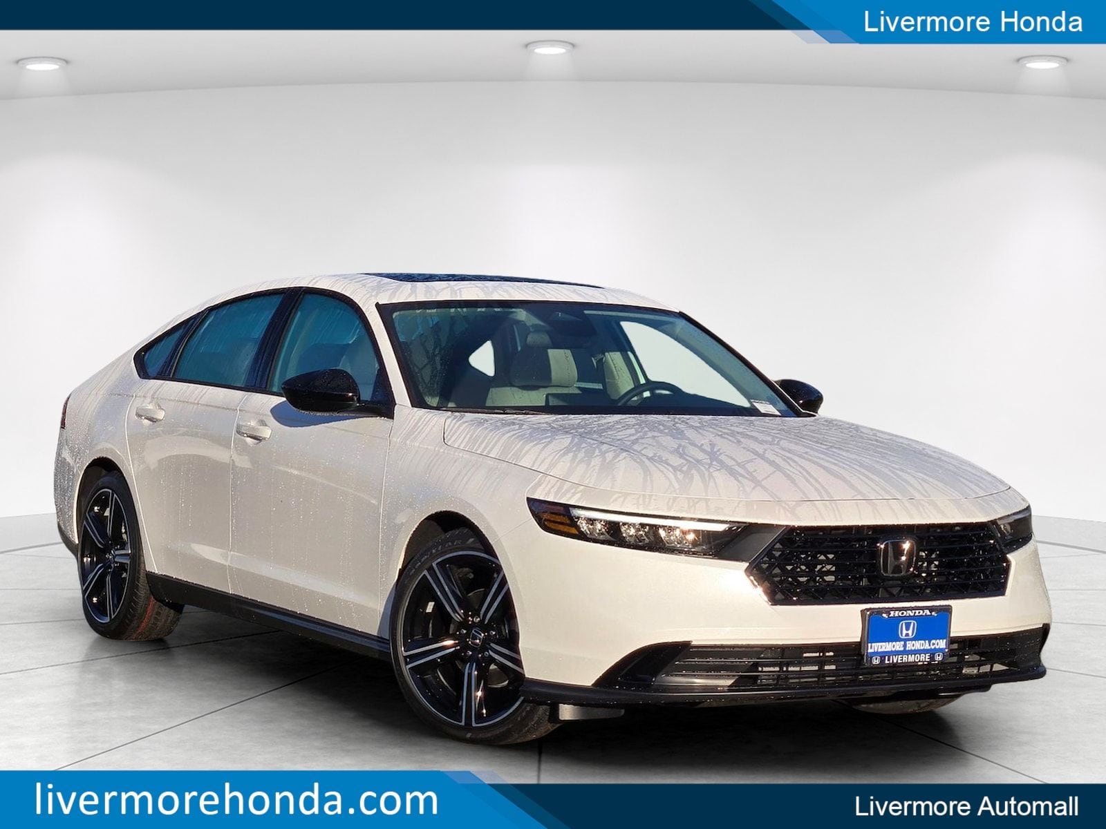 2026 Honda Accord 1.5T SE CVT's photo