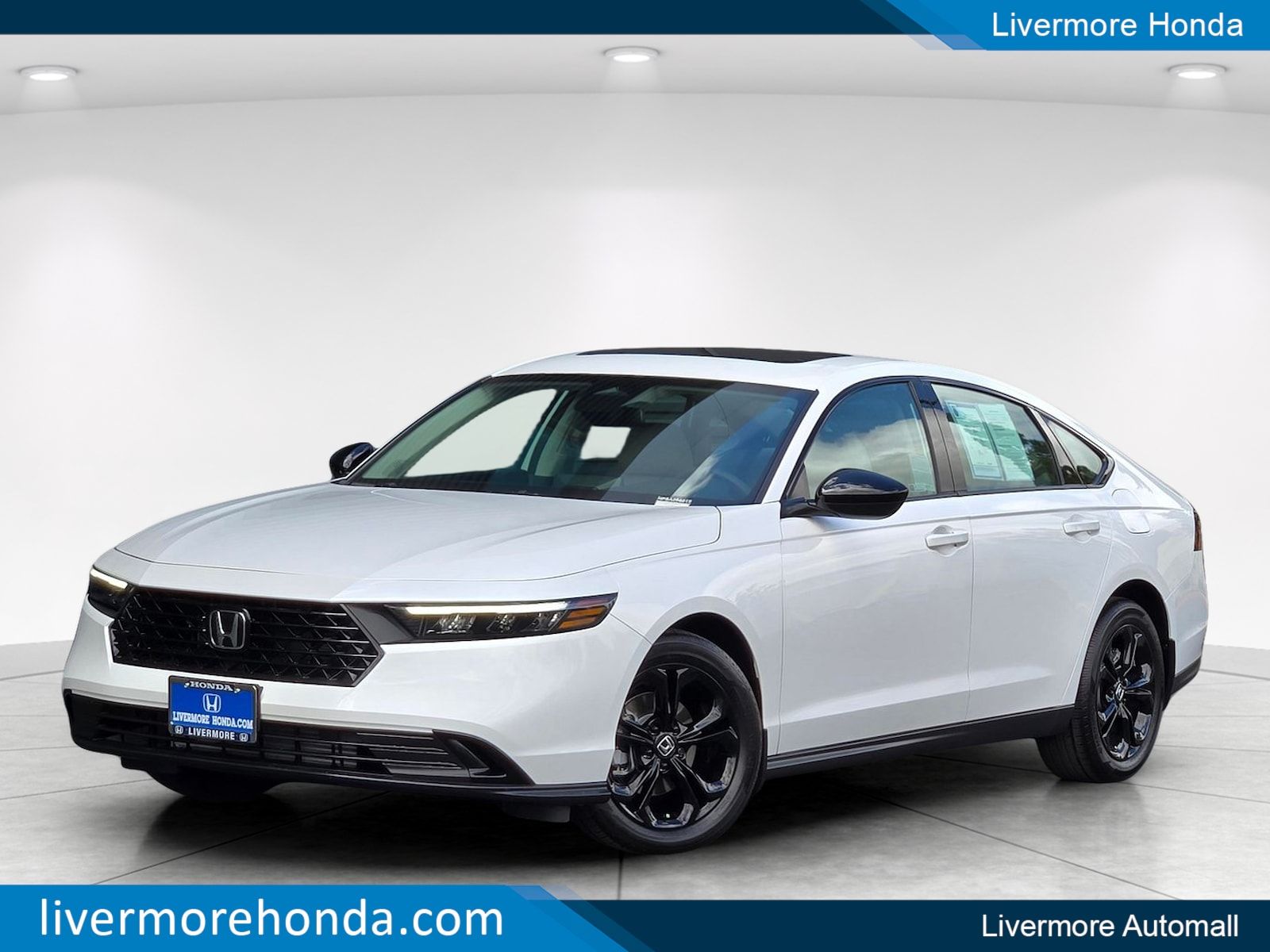 2025 Honda Accord 1.5T SE CVT's photo