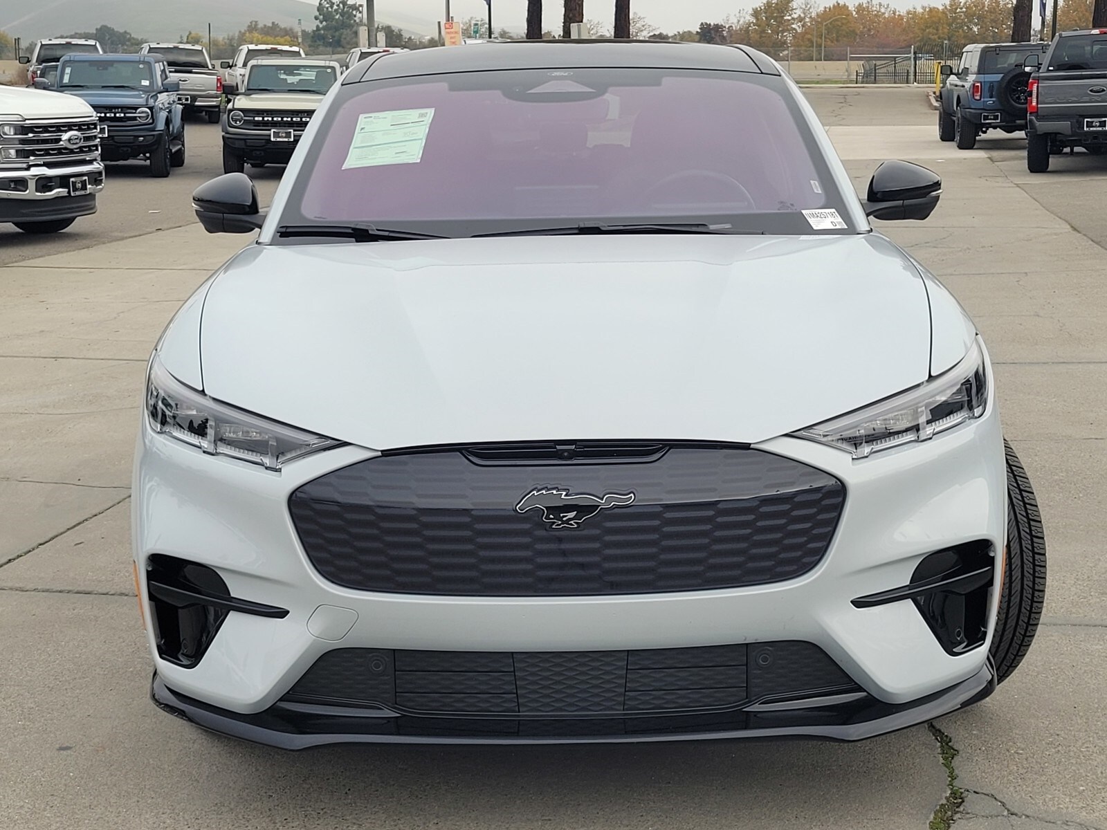 2022 Ford Mustang Mach-E GT photo 2