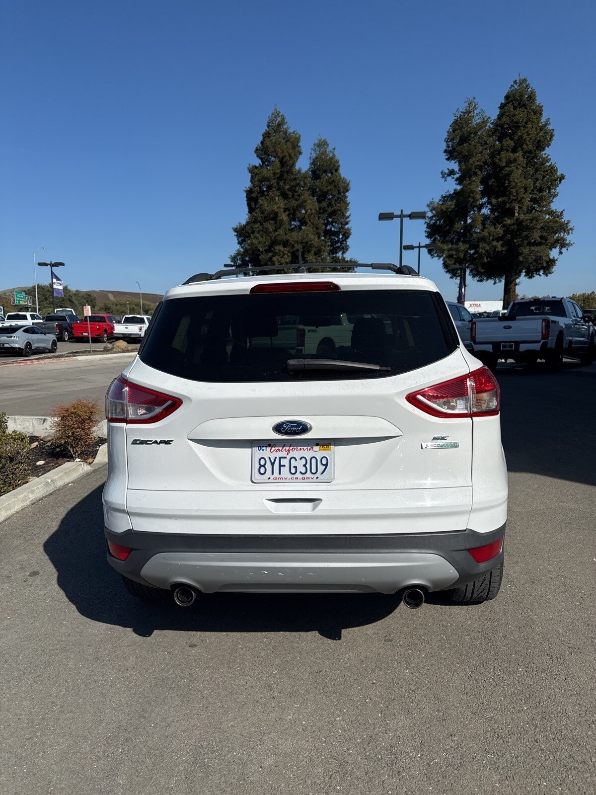 2013 Ford Escape SE photo 4