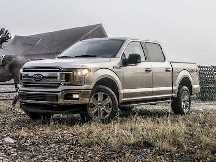 Used 2020 Ford F-150 XLT Truck in Livermore, CA