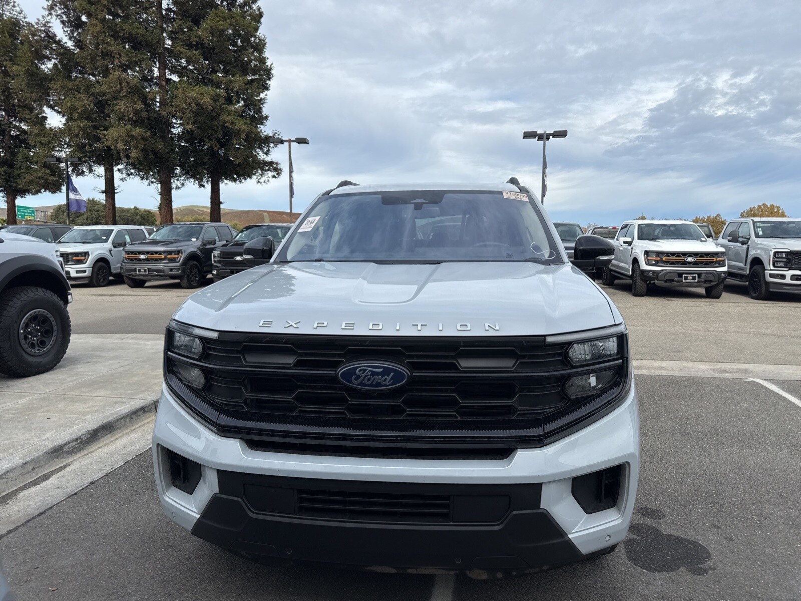 2025 Ford Expedition photo 3