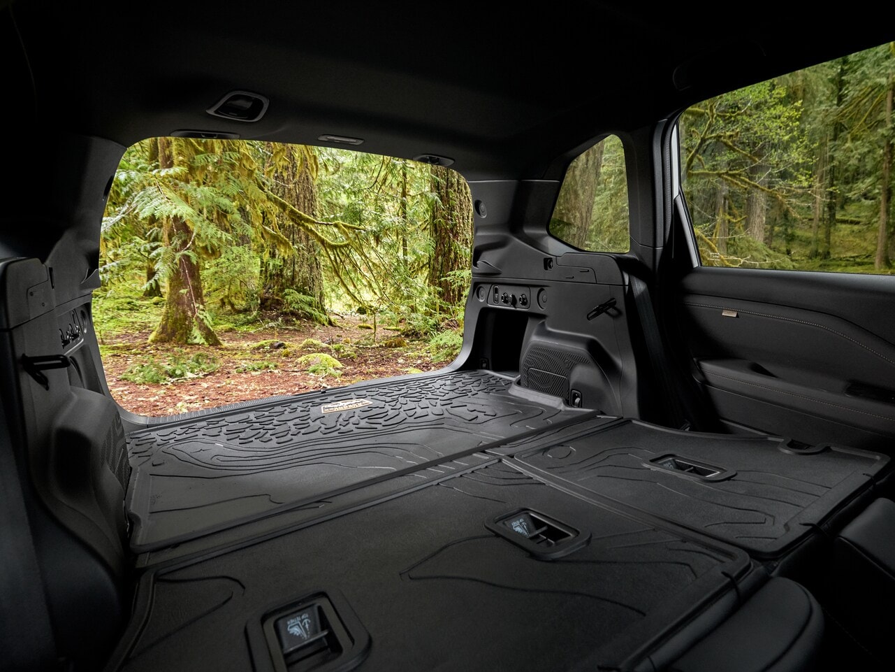 Forester Wilderness