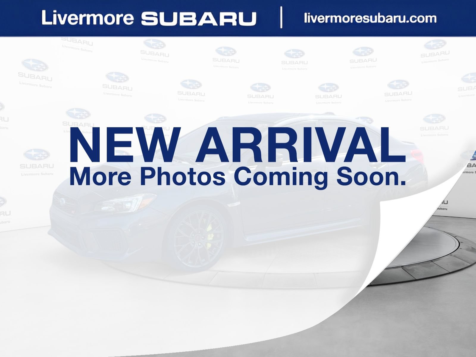 2019 Subaru WRX-STI Limited - Low Spoiler's photo