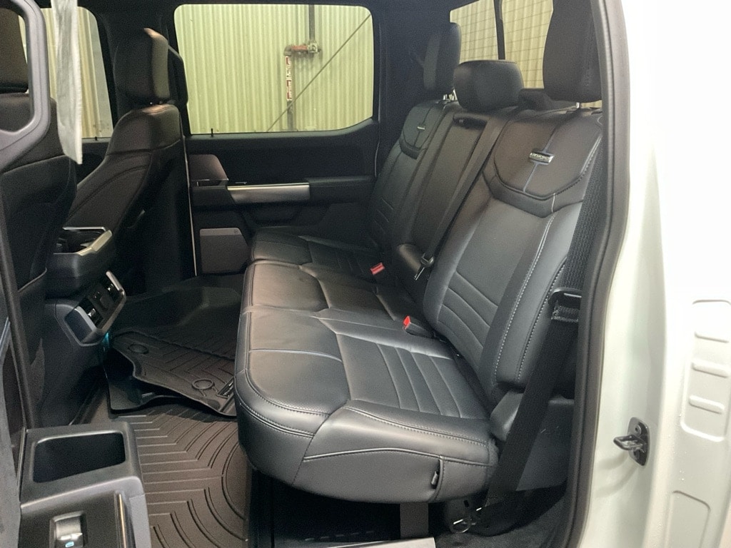 2025 Ford F-150 Platinum - Photo 14