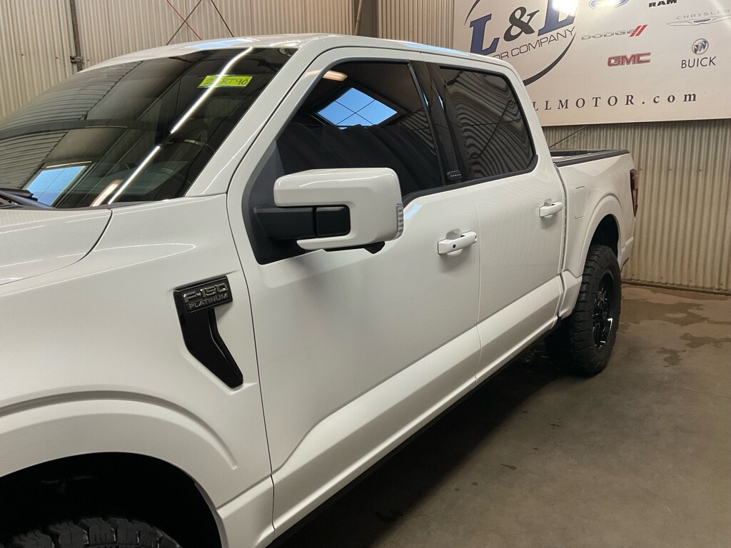 2025 Ford F-150 Platinum - Photo 8