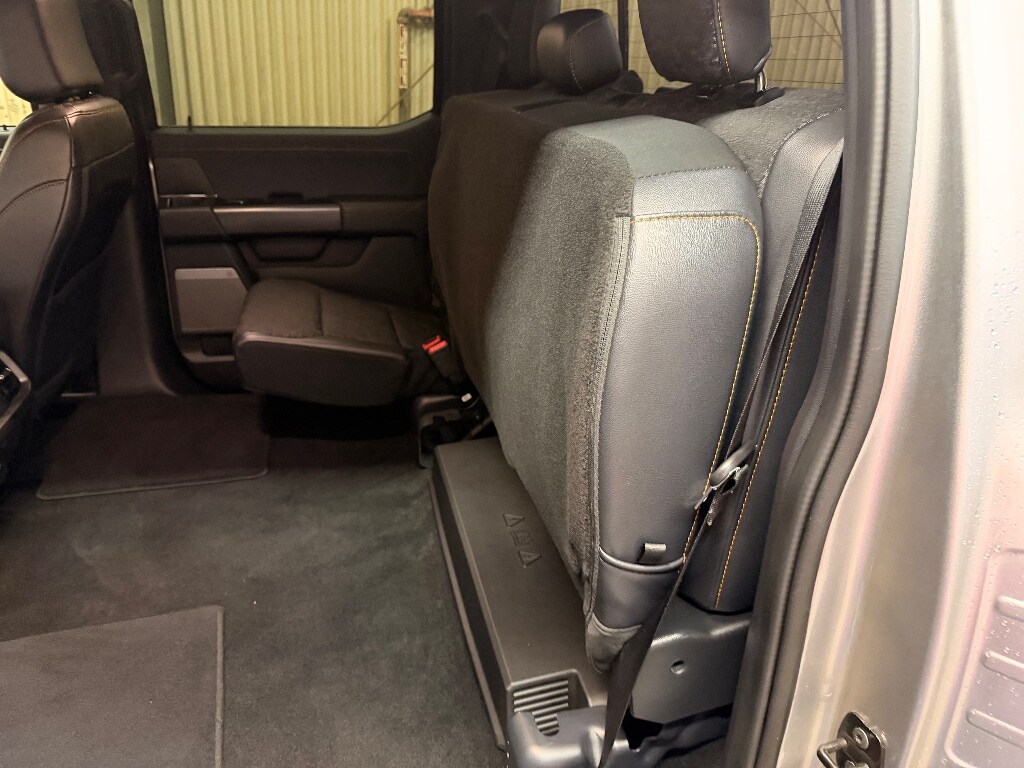 2025 Ford F-150 Tremor - Photo 19