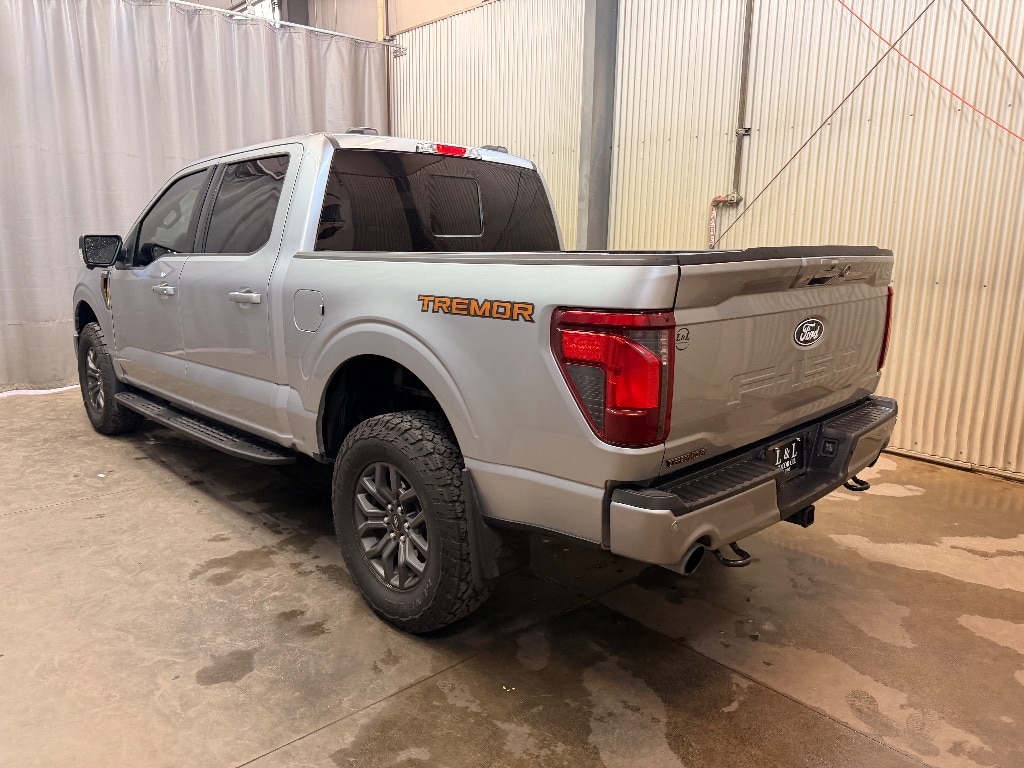 2025 Ford F-150 Tremor - Photo 6