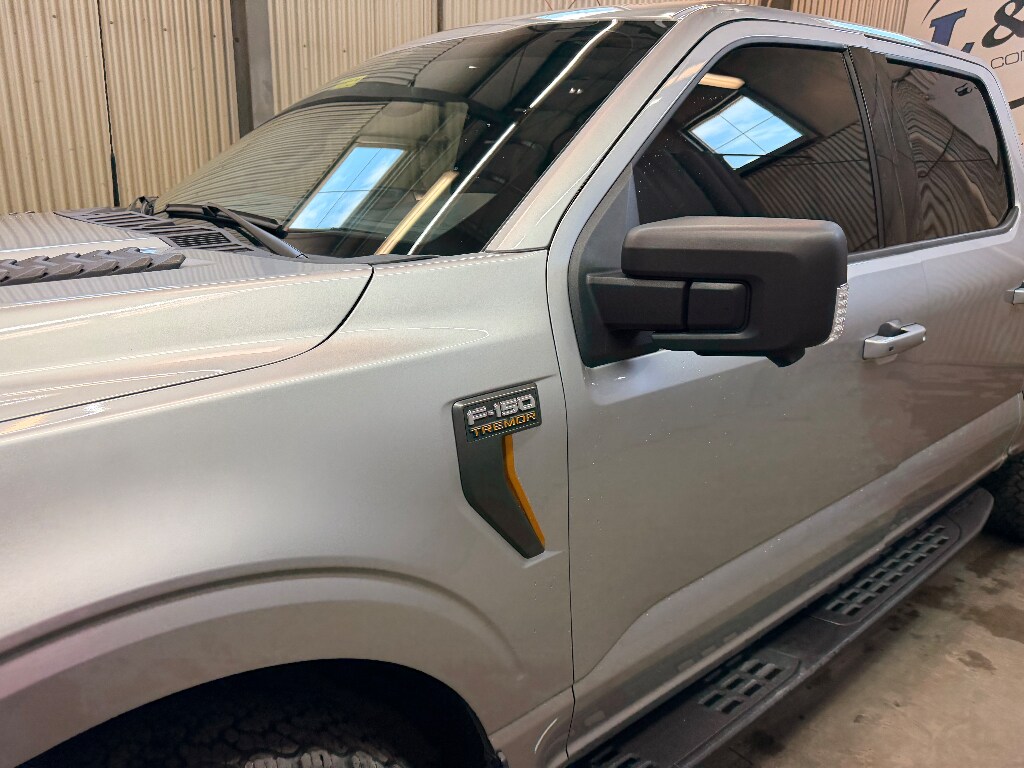 2025 Ford F-150 Tremor - Photo 8