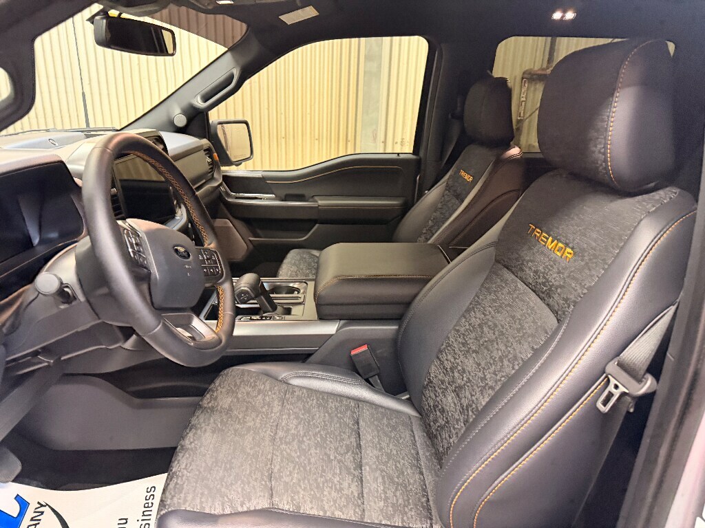 2025 Ford F-150 Tremor - Photo 10