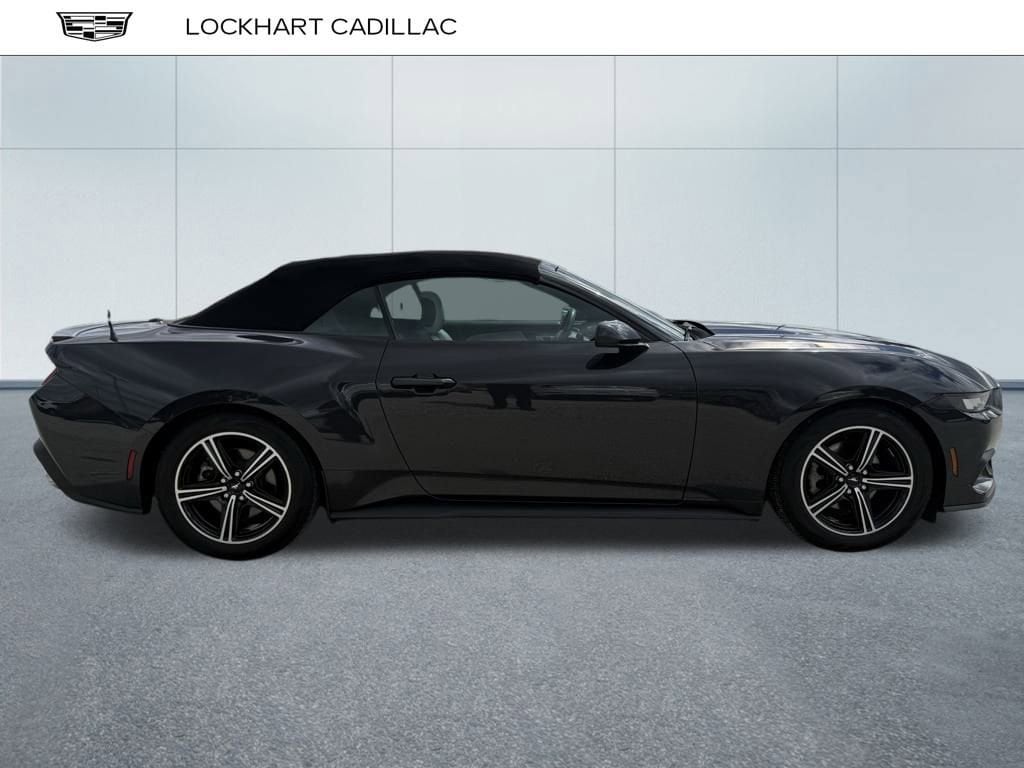 Used 2024 Ford Mustang EcoBoost with VIN 1FAGP8UH3R5120826 for sale in Fishers, IN