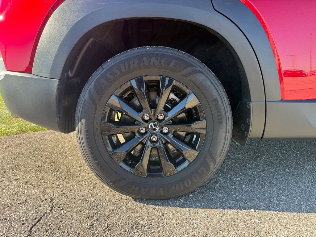 Photo 17
